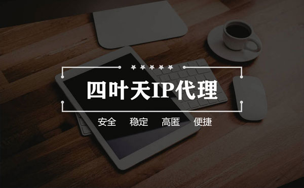 【招远代理IP】如何快速搭建代理IP？怎么检查代理的效果？